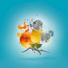 Xerjoff " V " Erba Pura