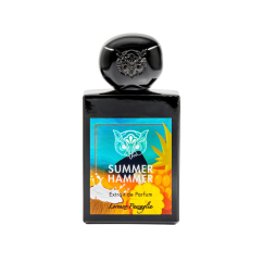 Lorenzo Pazzaglia Summer Hammer