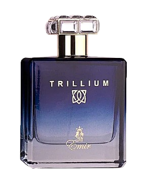 Paris Corner Emir Trillium