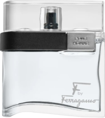 Salvatore Ferragamo F by Ferragamo Black
