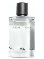 Zara Vibrant Leather