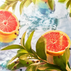 Roja Parfums Elysium Eau Intense