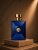 Versace Dylan Blue